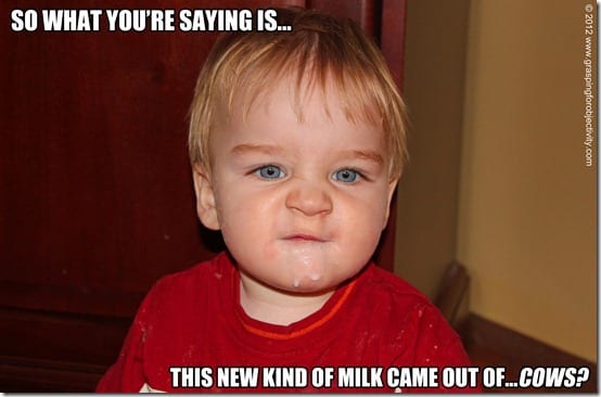 Noah Memes on Cow Milk