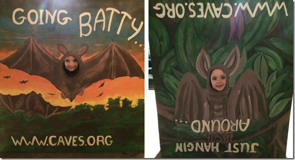 Bats Caves dot org