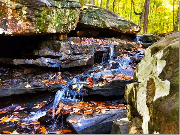 Moss Rock Preserve Waterfall