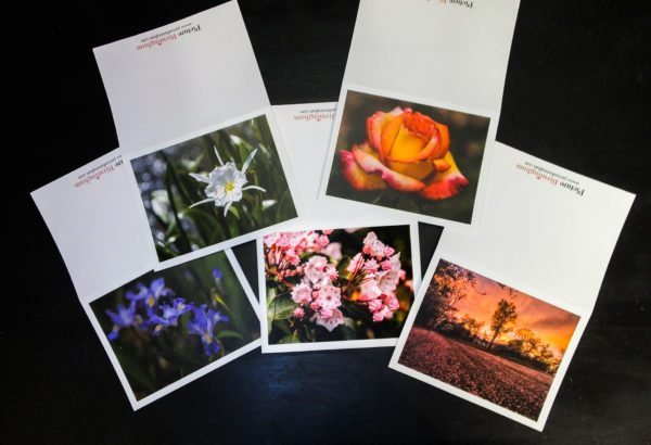2016 Floral Notecards Photo