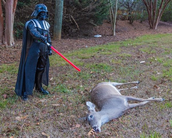 Darth-Vader-and-Deer